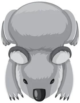 Top-Down View of a Koala Stock Illustration