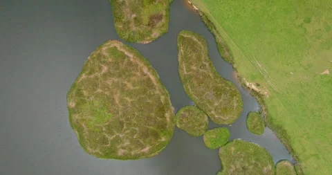 Top down view of lake Ngakeketa, northland, New Zealand Stock Footage 264468105
