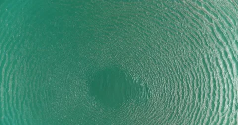 Top down view of Lake. Pull out view of Lake and Forest in the Alps Stock Footage 197444533