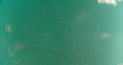 Top down view of Lake. Pull out view of Lake and Forest in the Alps Stock Footage 197444773