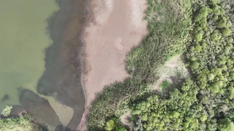 Top down view of lake shore and marsh area. Stock Footage 289578799