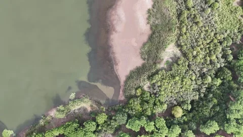 Top down view of lake shore and marsh area. Stock Footage 289578992