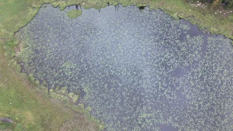 Top Down View of Lily Lake Uinta Mountains 4K Video stock 337902465