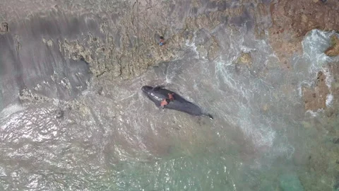 Top down view of the local villager with captured pilot whale at the sea shor Stock Footage 156870681