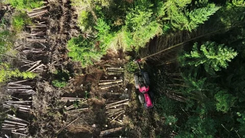 Top down view of Logging Equipment in Action at the Forest - processing Stock Footage 161136264