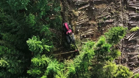 Top down view of Logging Equipment in Action at the Forest - processing Stock Footage 161136274