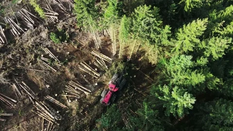 Top down view of Logging Equipment in Action at the Forest - processing Stock Footage 161136278