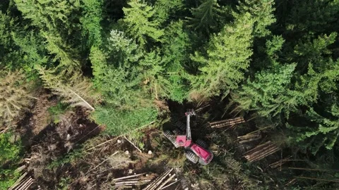 Top down view of Logging Equipment in Action at the Forest - processing Stock Footage 161136286