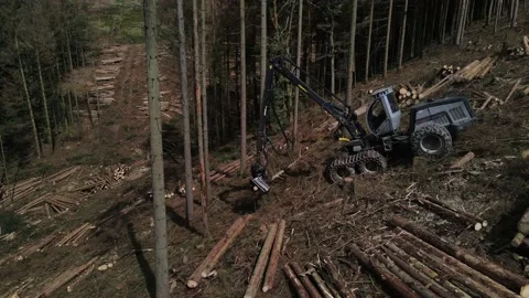 Top down view of Logging Equipment in Action at the Forest - processing Stock Footage 161207989