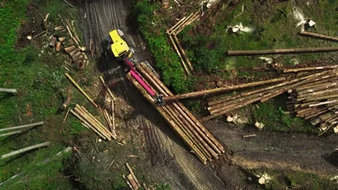 Top down view of Logging Equipment in Action at the Forest - processing Stock Footage 161792072