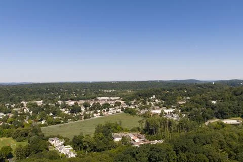 Top-down view of lush deciduous trees in the White Plains metropolitan area Stock Photos