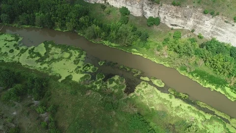Top down view of the lush green swamp and dirty river. 4K. Stock Footage 115442480
