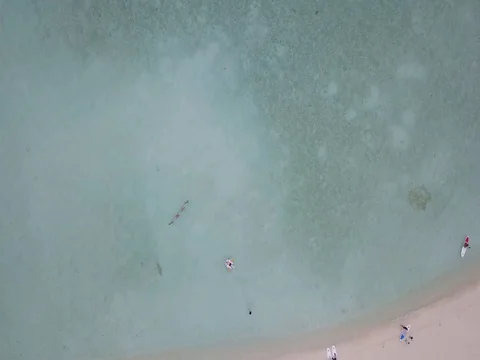 Top down view of Maldivian beach Stock Footage 77218641