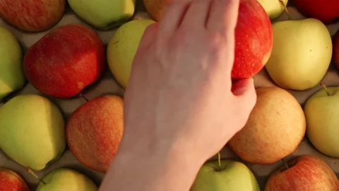 Top down view of man hand picking red apple from basket Stock Footage 339299499