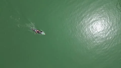 Top-down view of a man paddling in a canoe Stock Footage 324652728