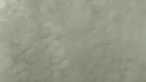 Top down view of a man walking on coastline of a lake. Stock Footage 289578657