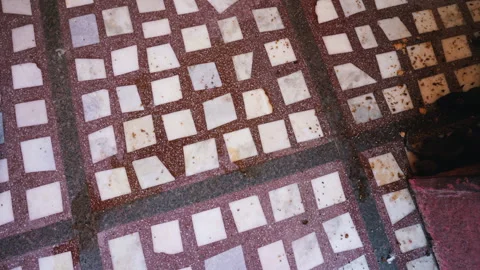 Top down view of marble mosaic floor with sacred rat droppings in Karni Mata Stock Footage 346502966