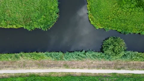 Top down view of meadow landscape with ditch Stock-Footage 157226741