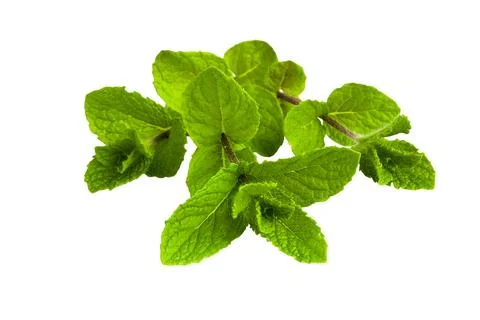Top-down view of mint leaves showcasing their freshness on white. Stock Photos