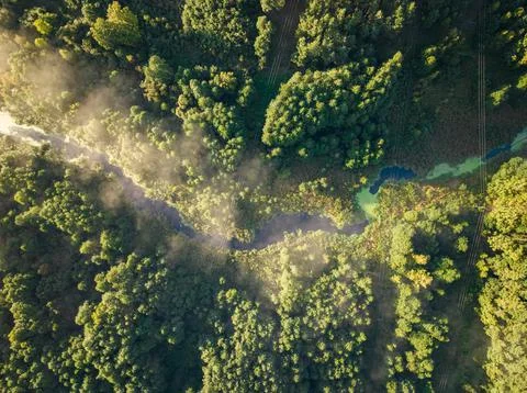 Top down view of misty valley in autumn at sunrise. Stock Photos