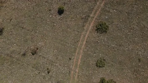 Top down view mixed forest, woodland aerial. Stock Footage 140943780