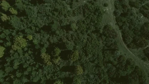 Top down view mixed forest, woodland aerial. Stock Footage 140947364