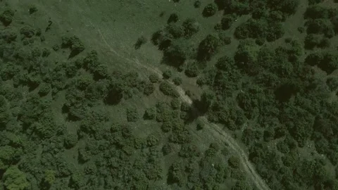 Top down view mixed forest, woodland aerial. Stock Footage 140950236