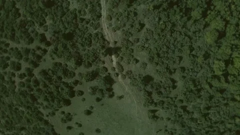Top down view mixed forest, woodland aerial. Stock Footage 140952262