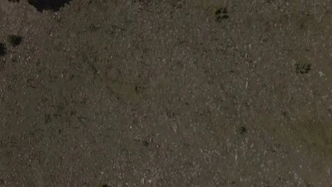 Top down view mixed forest, woodland aerial. Stock Footage 140953335