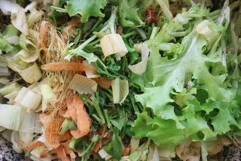 Top down view of mixed organic kitchen vegetable scraps for composting. Stock Photos