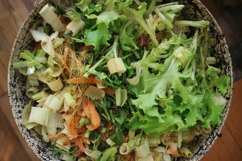 Top down view of mixed organic kitchen vegetable scraps for composting. Stock Photos