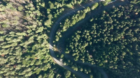 Top down view of the mountain road through the green forest along the river. Stock Footage 147507719