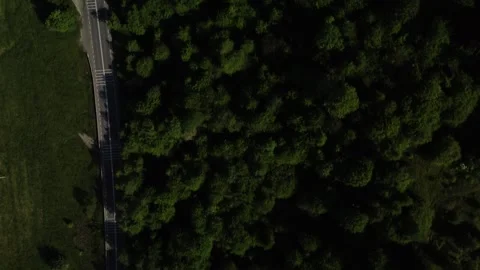 Top Down view of mountain road with forest area from drone Stock Footage 297255425