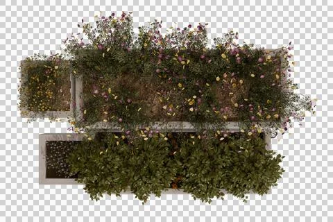 Top-down view of multiple raised garden beds filled with flowering plants Stock Illustration