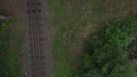 Top down view of narrow railway track through green forest 스톡 동영상 340646962