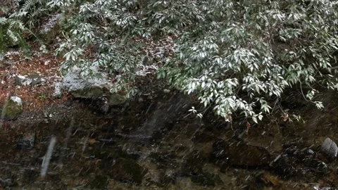 Top down view to natural canal water flow with trees on bothside annd snow .. Stock Footage 276354017