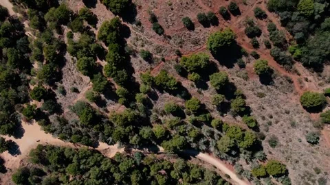 Top down view of nature on mountains during summer in north Barcelona Spain 動画素材 244705023
