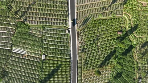 Top Down View of Newly Paved Road to the Mountain Видео 285100098