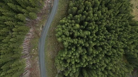 Top down view of a Norway mountain road and a forest from a drone. 스톡 동영상 205864455
