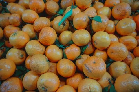 Top-down view of numerous fresh oranges with bright orange color and green .. Stock Photos