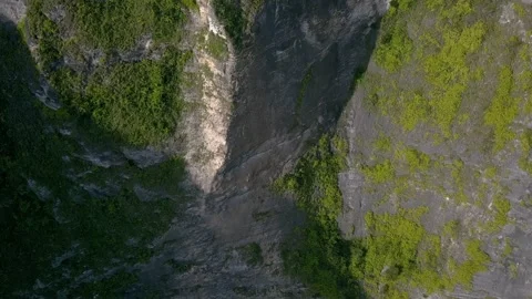 Top down view of an ocean cliff covered in greenery. White foam with turquoise Vídeo Stock 224283393