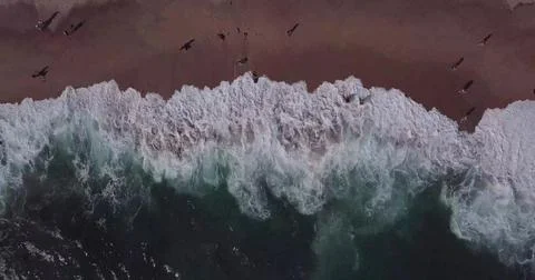 Top-Down View of Ocean Waves Rolling onto a Sandy Seashore Stock Photos