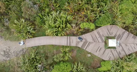 Top down view of the Omanawanui ridge track, Whatipu, New Zealand Stock-Footage 296124557