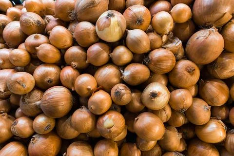 Top down view of onion Stock Photos
