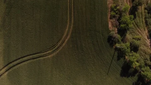 Top Down View over Farmlands in Spain following the furrows of the ground Vídeos de archivo 132718093