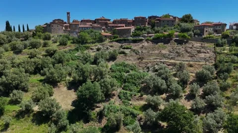 Top Down View over Olive Trees Toward Tuscan Medieval Wall Stock Footage 344922934