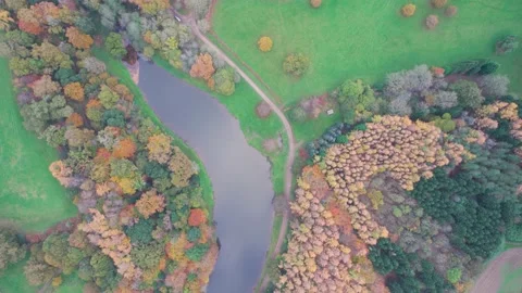 Top Down view over Park, Pond and Forest Stockbeeldmateriaal 165623734