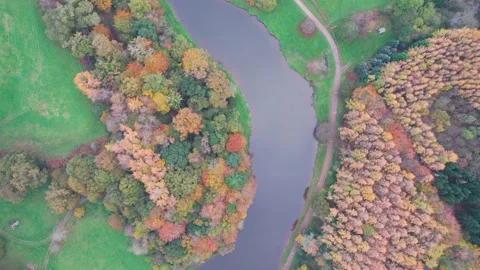 Top Down view over Park, Pond and Forest Stock Footage 165624021