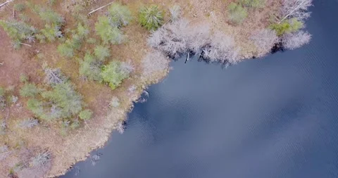 Top down view over spring island inside the lake. Flying over the island border. Stock Footage 199015730