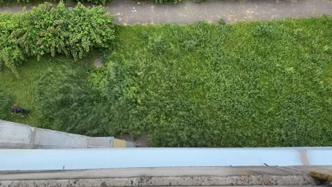 Top-down view of an overgrown green lawn and a gardener working  動画素材 337552788